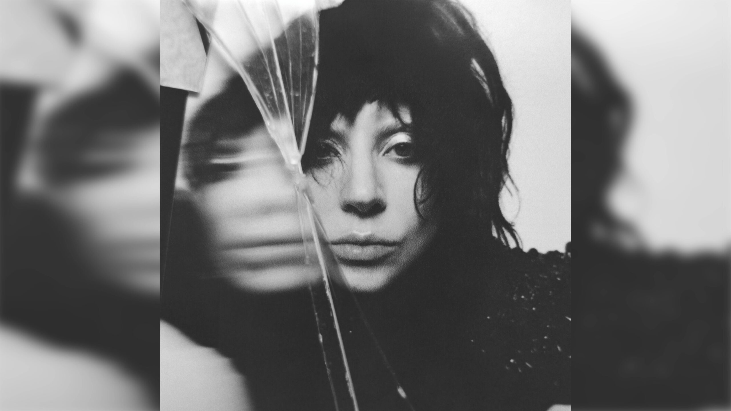 新品 lady gaga mayhem ピクチャー 2lp レイディーガガ