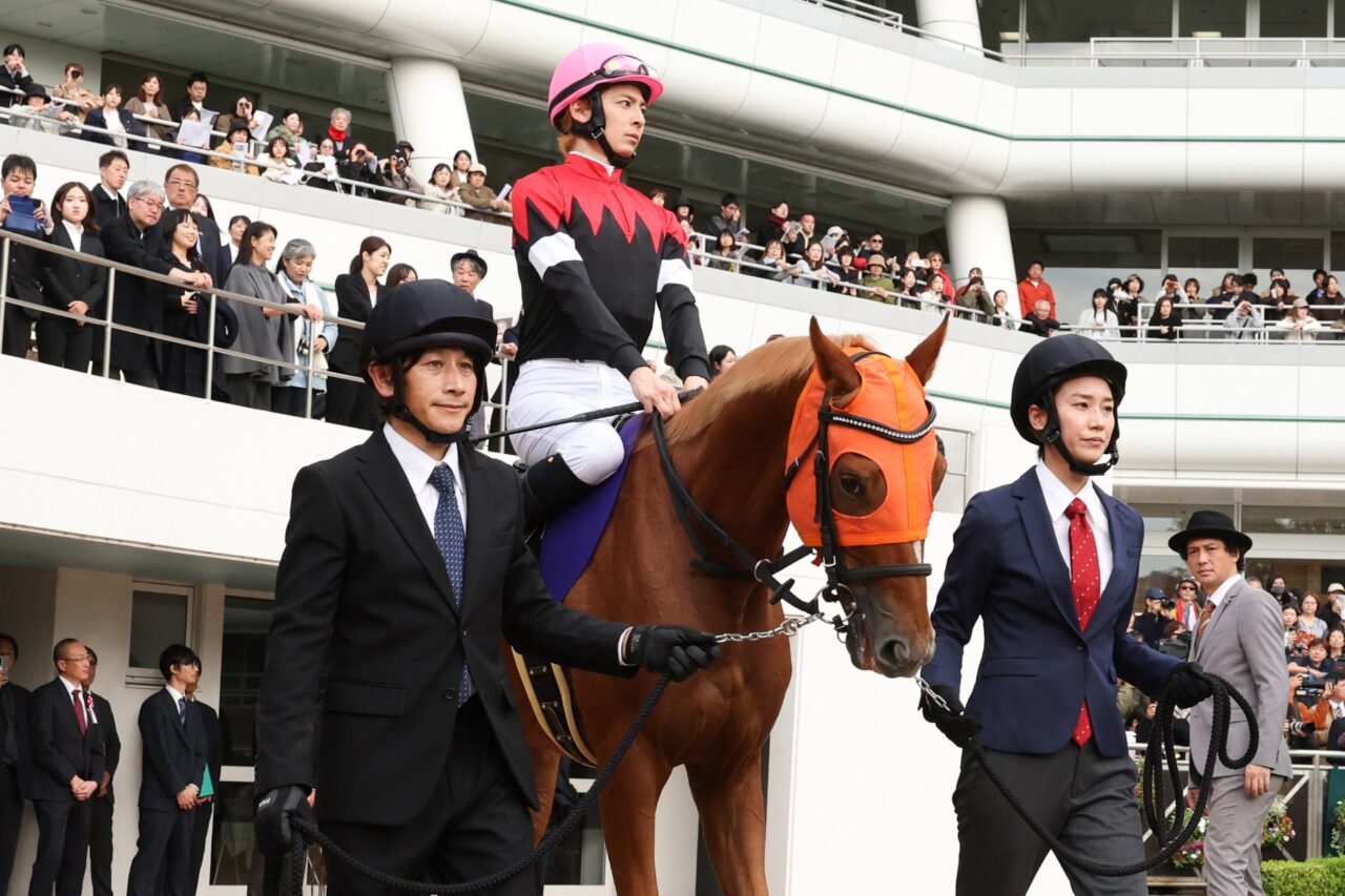 JRA全面協力や騎手監修や調教師監修、競馬指導が存分に生かされたレースシーンの迫力©TBSスパークル / TBS