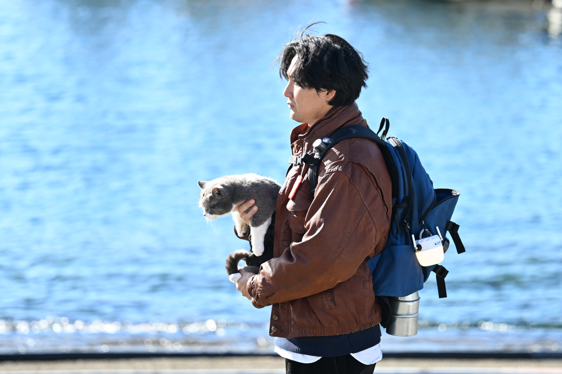 人気タレント猫・テディも町の外側に戻っていく©テレビ朝日